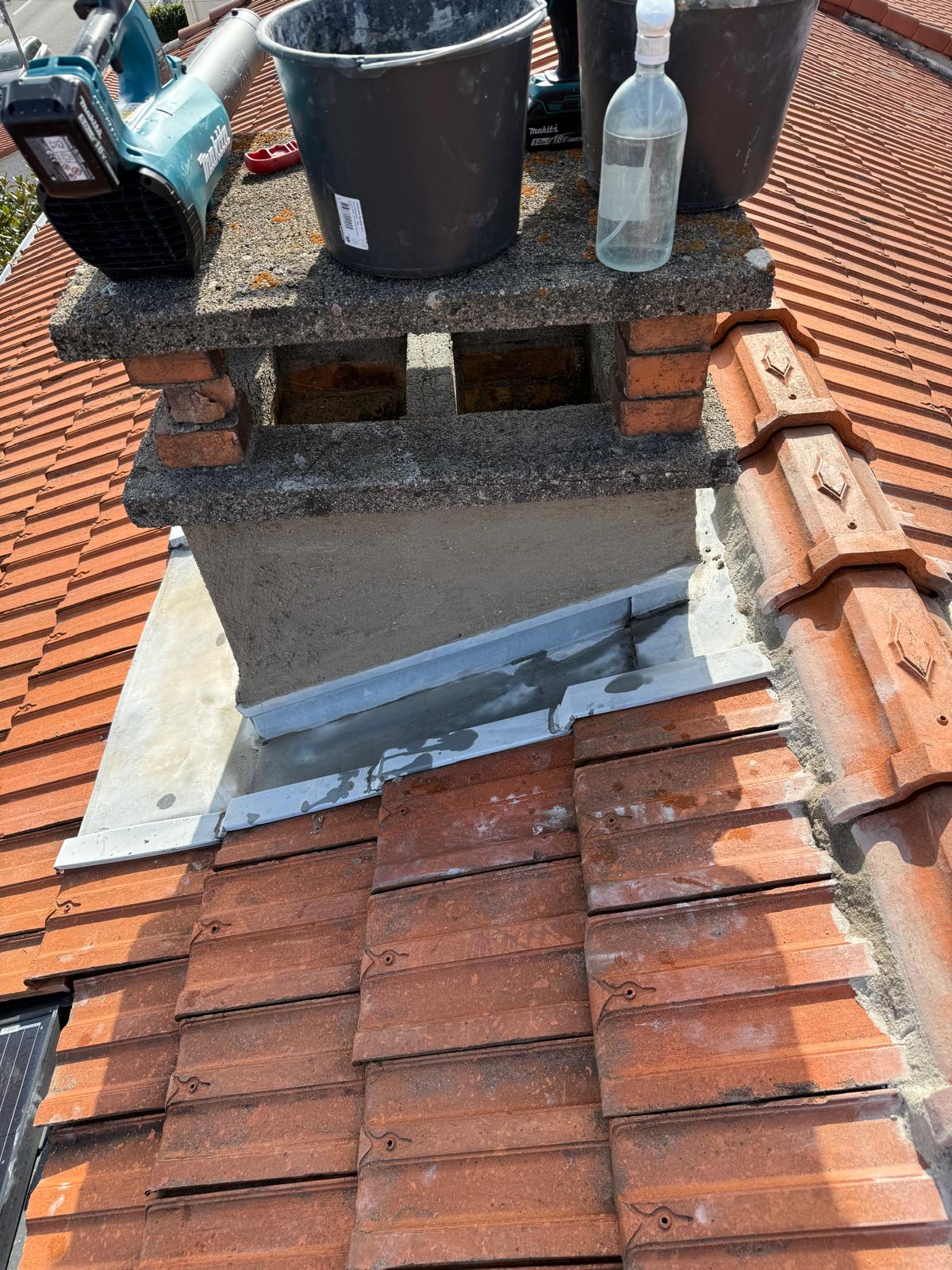 Démoussage toiture professionnel Var (83)
